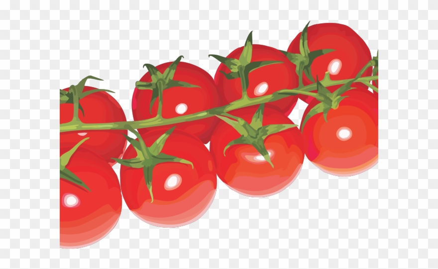 Cherry Tomato Clipart Transparent Background - Png Download