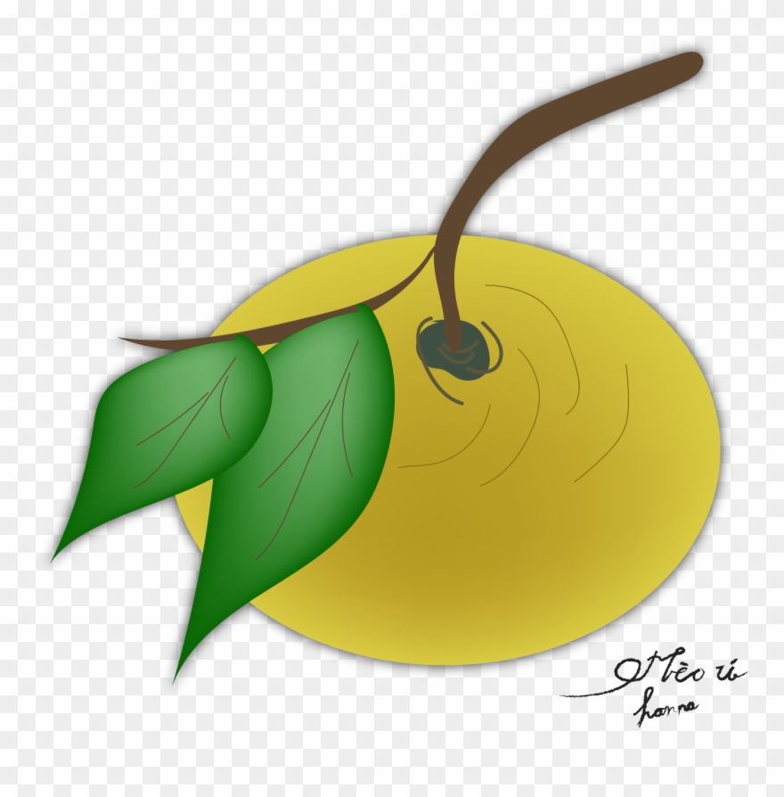 Fruits In Vietnam By Hanna Clipart