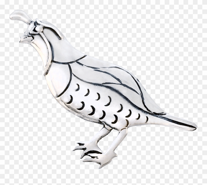 Quail Pin Creations, For Beauty, And Fun Clipart