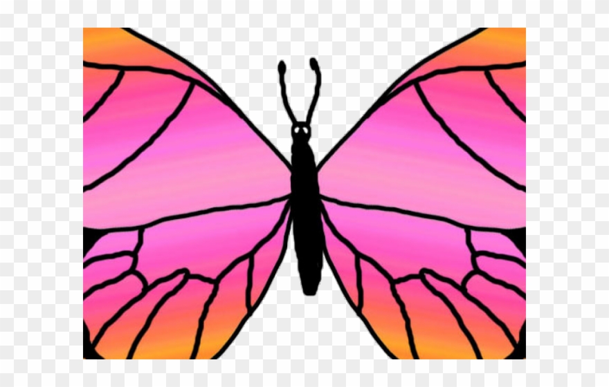 Rainbow Butterfly Clipart Transparent - Png Download