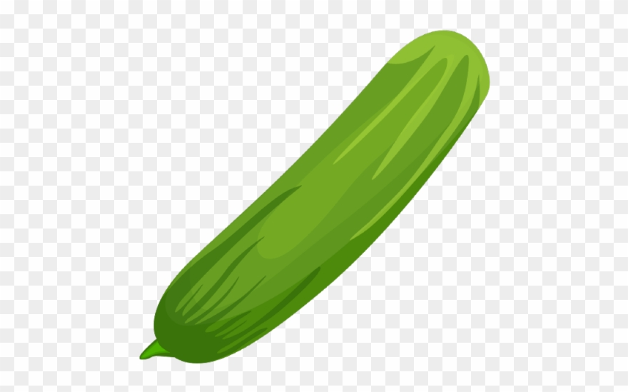 Squash Clipart Zucchini - Png Download