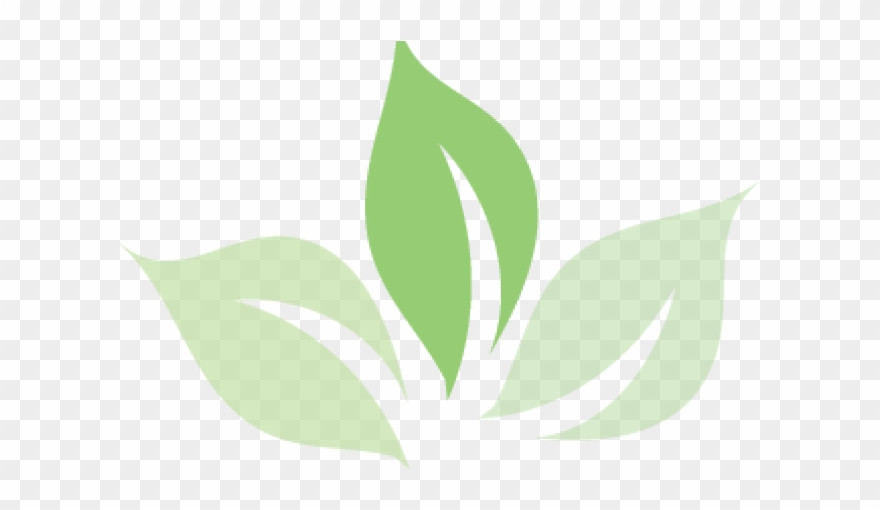 Green Tea Clipart Tea Logo - Png Download