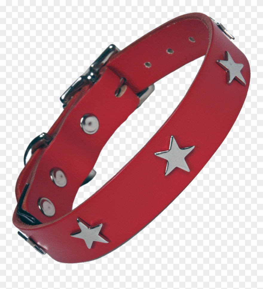 Dog Collar Png Clipart