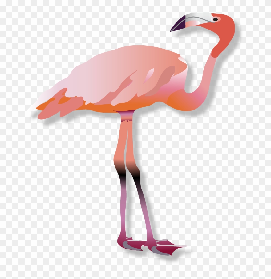 Flamingo Shadow Clipart