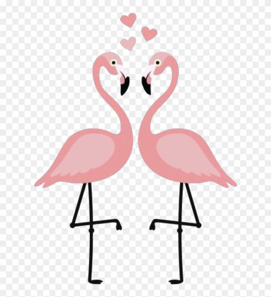 Flamingo Flamingos Festa Decoração Remix Clipart