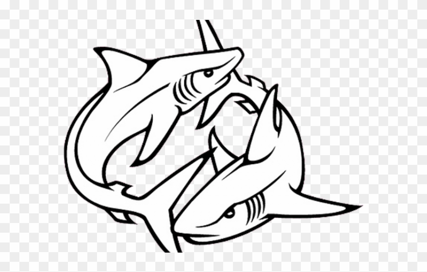 Shark Line Art Clipart