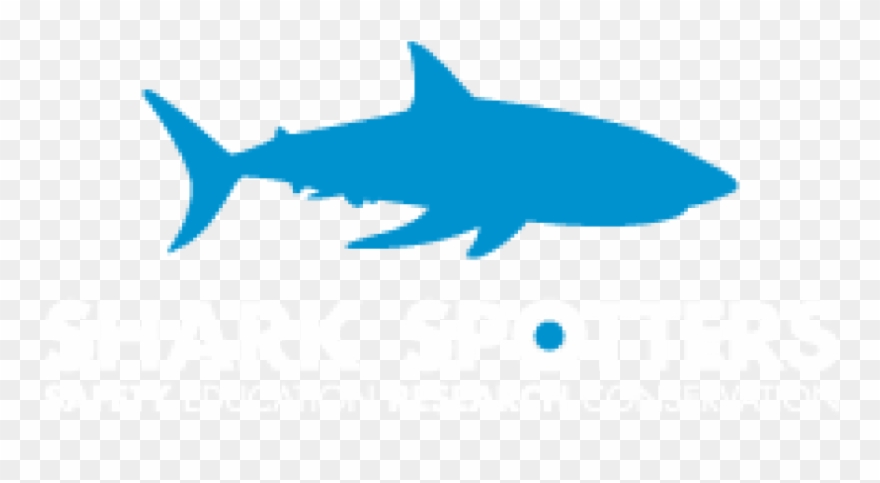 Shark Spotters Clipart