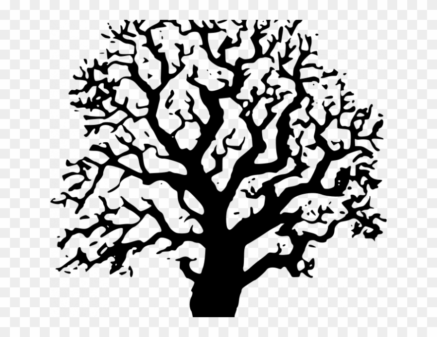 Oak Tree Pictures Free Free Clipart Oak Tree Iggyoblomov - Png Download