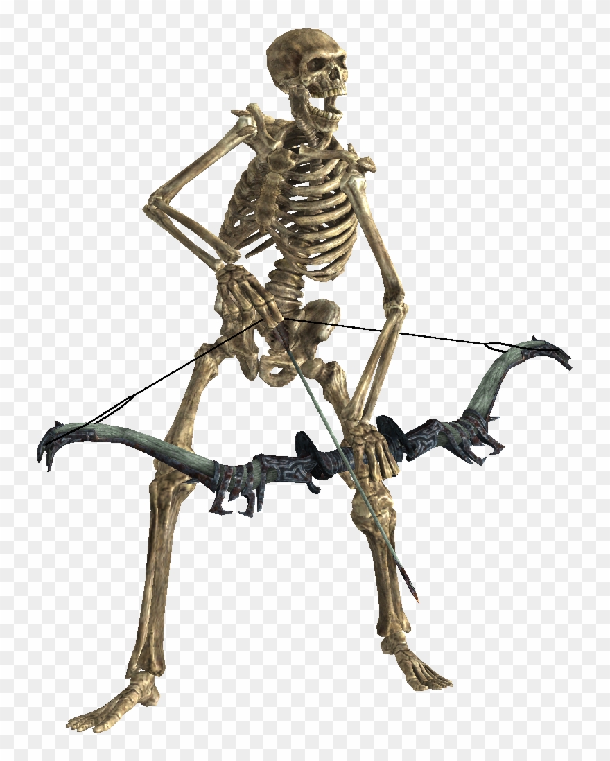 Png Image Information Clipart