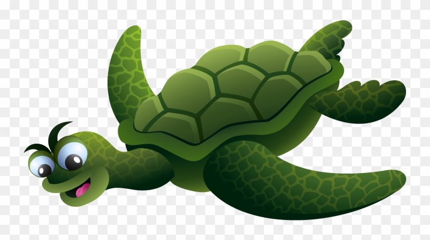 Turtle Clipart
