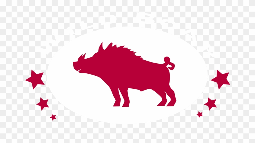 Wild Boar Coffee Pinterest Clipart