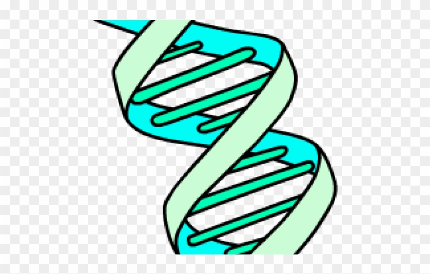 Campfire Clipart Endothermic - Png Download