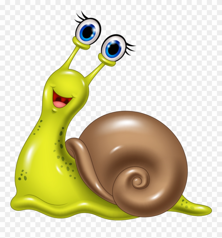Mollusc Clipart Grape - Png Download