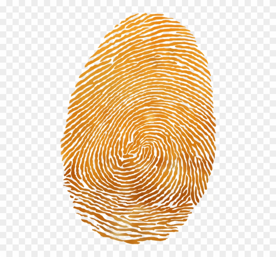 Get Your Free Redpath Content Clipart