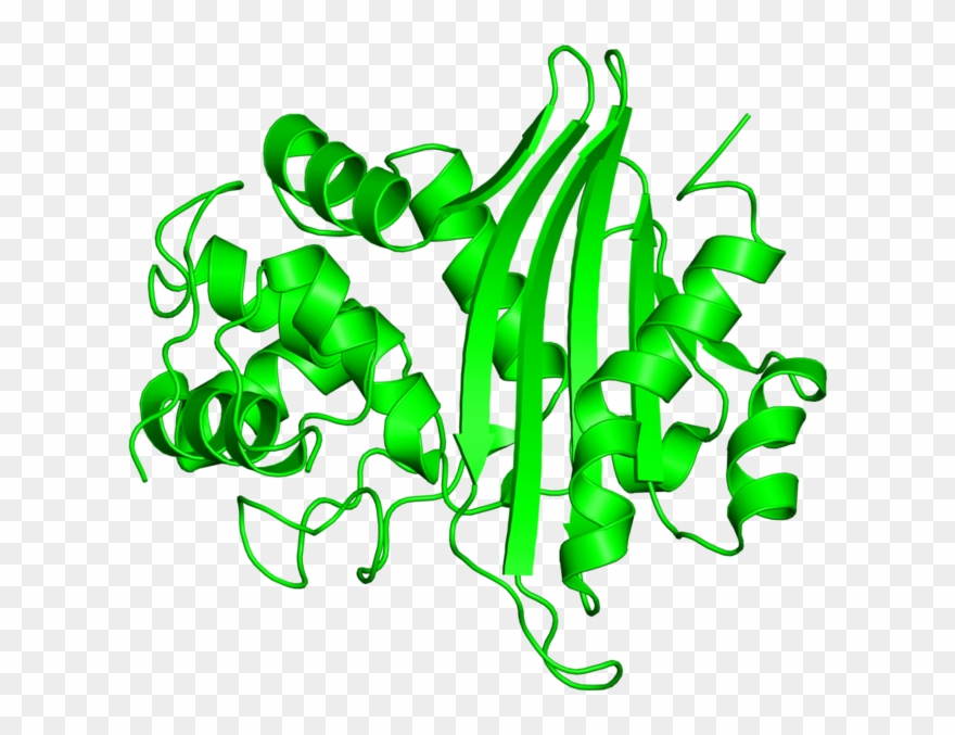 <div Class='caption-body'>2 Copies Of Scop Domain < Clipart