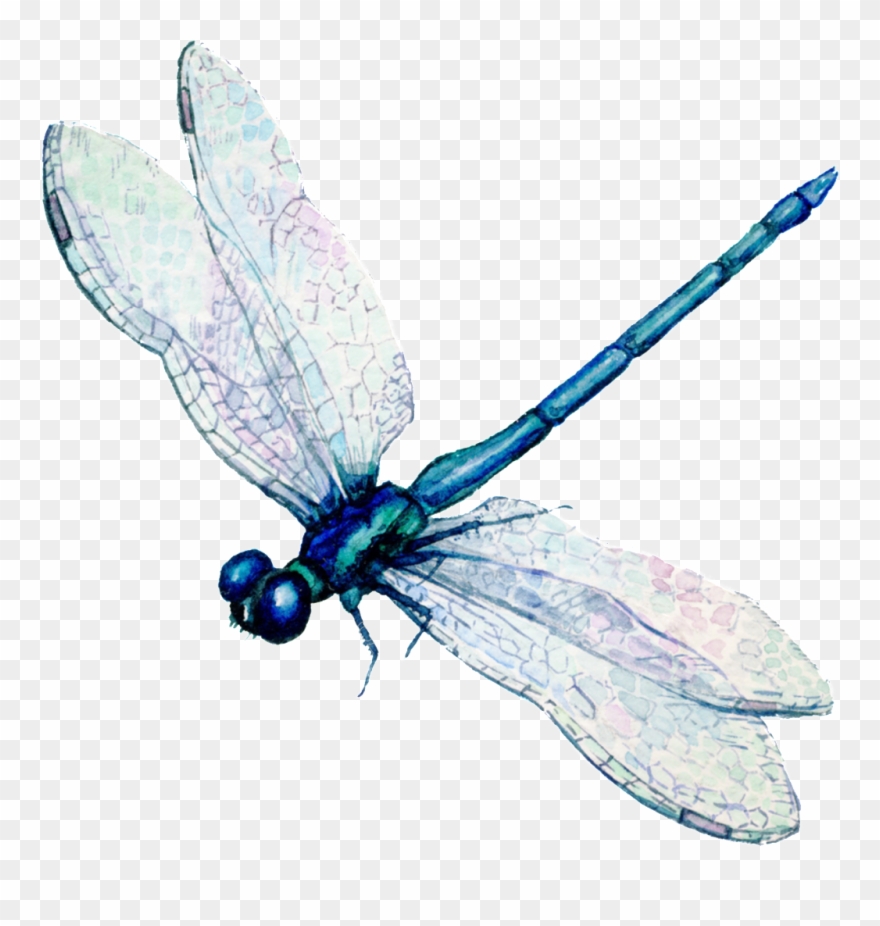 Vector Free Download Eps Clipart