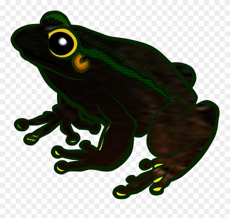 Tree Frog Clipart Transparent - Png Download