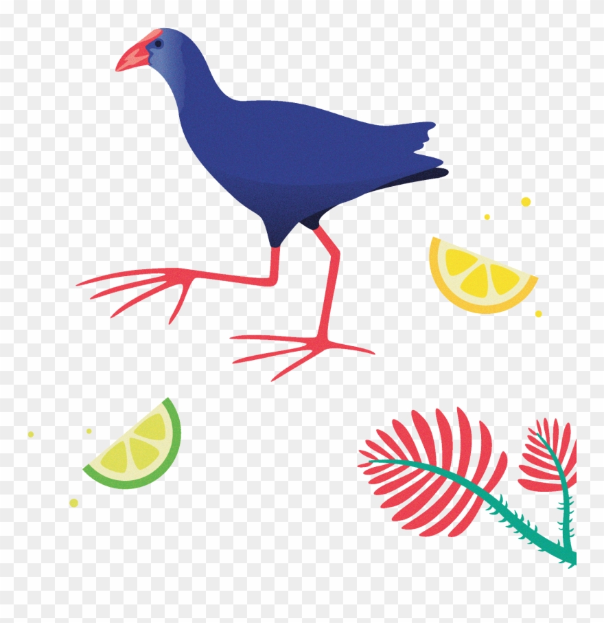 Its Buoyant Colours Ended Up Inspiring The Palette Clipart