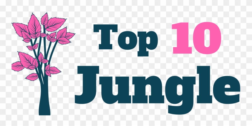 Top 10 Jungle Clipart