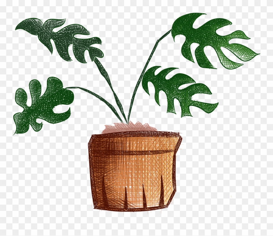 Hand Painted Plants Flowers Fresh Potted Png And Psd Clipart