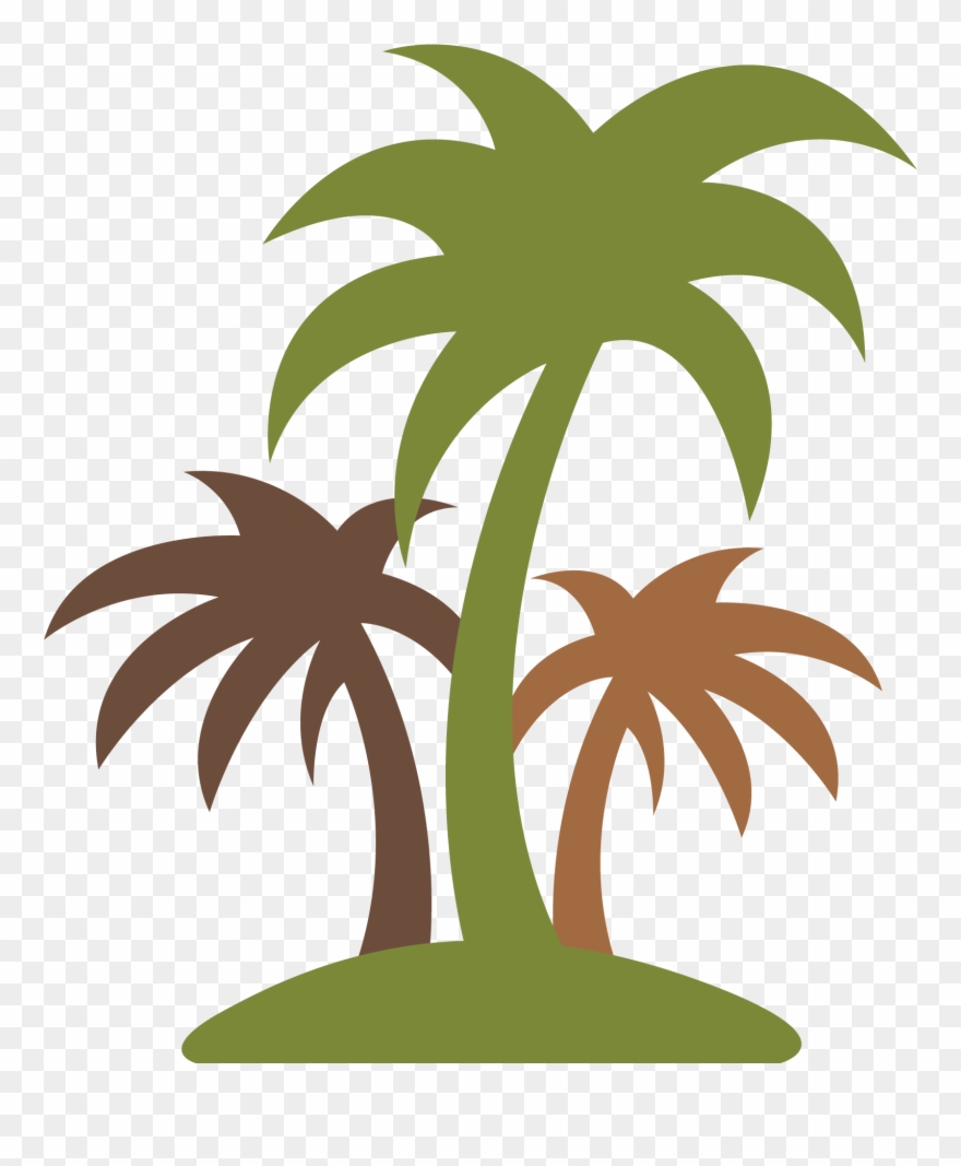 Plants Clipart Coconut Tree - Png Download