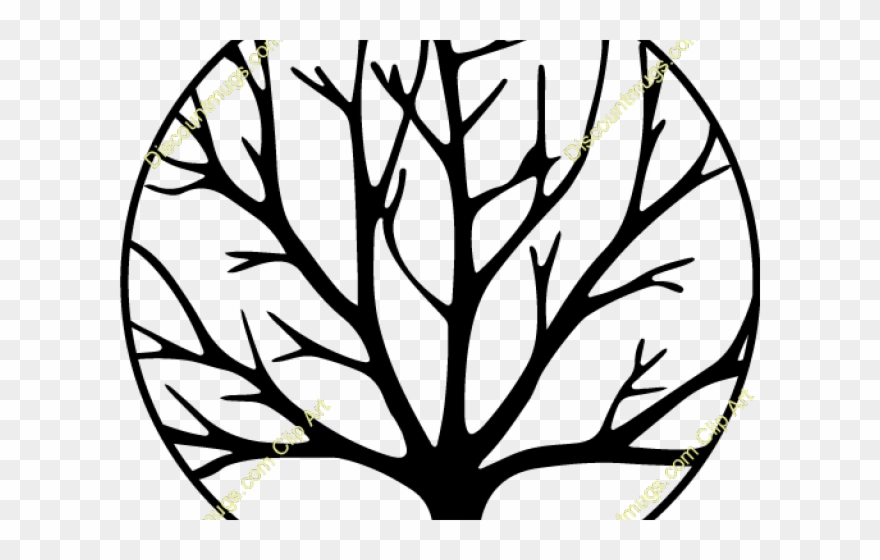 Branch Clipart Swirly - Png Download