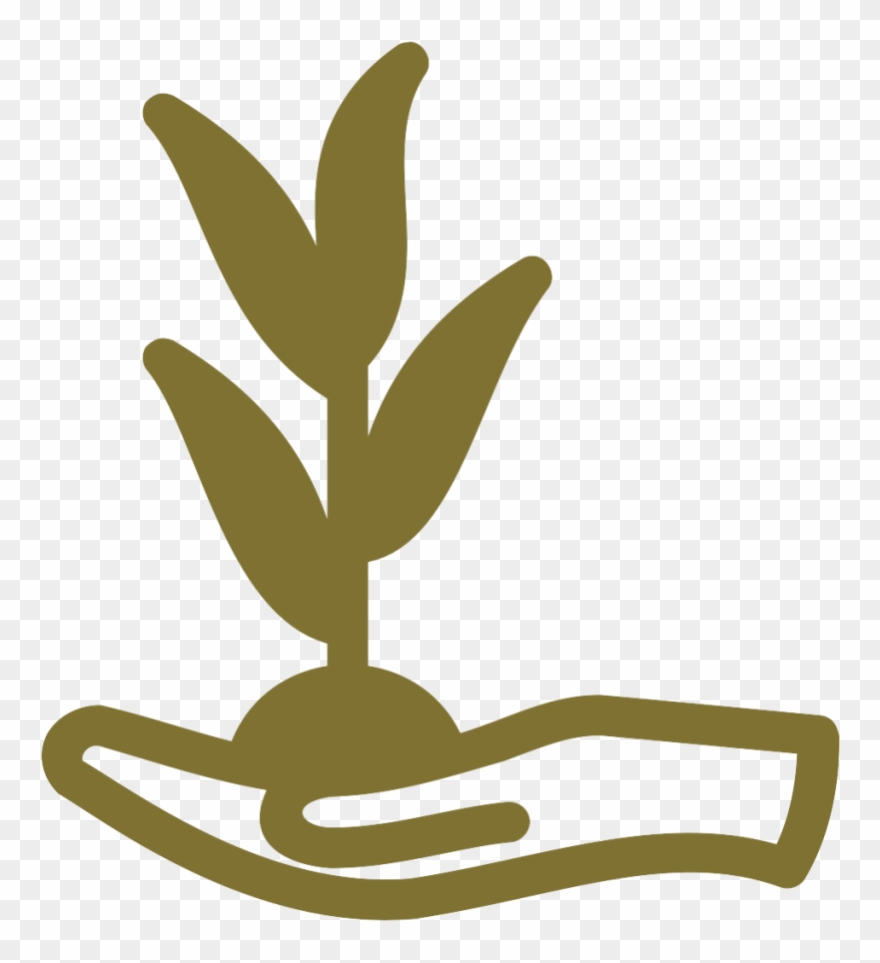 Environmentalist Clipart - Png Download