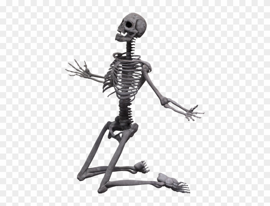 Skeleton Transparent Png Clipart