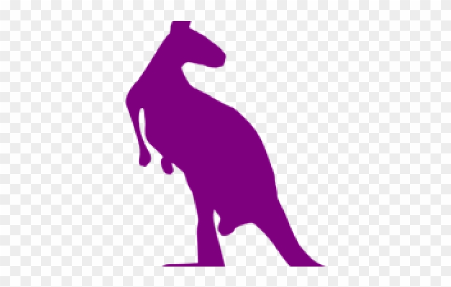 Purple Clipart Kangaroo - Png Download