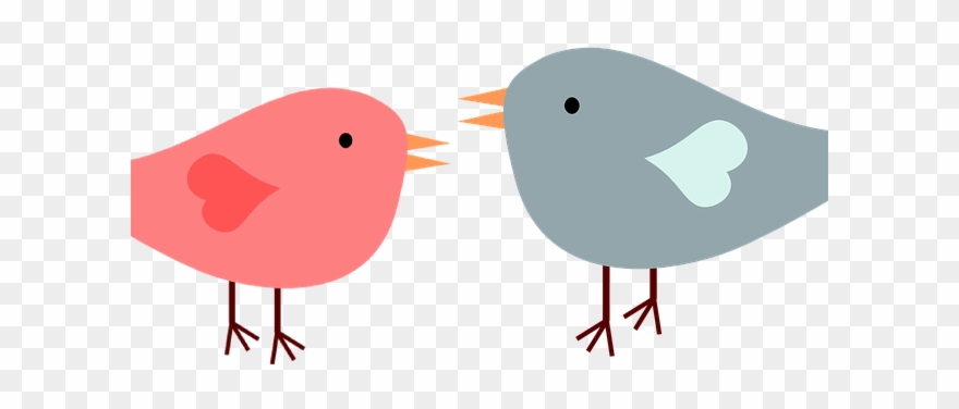 Love Birds Clipart Teal Love Birds - Png Download