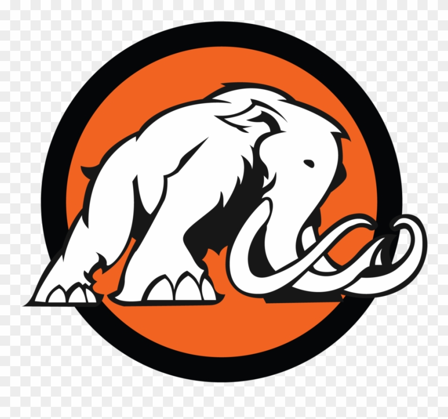 Learn To Code And Build An Ios App Quickly In Swift Clipart