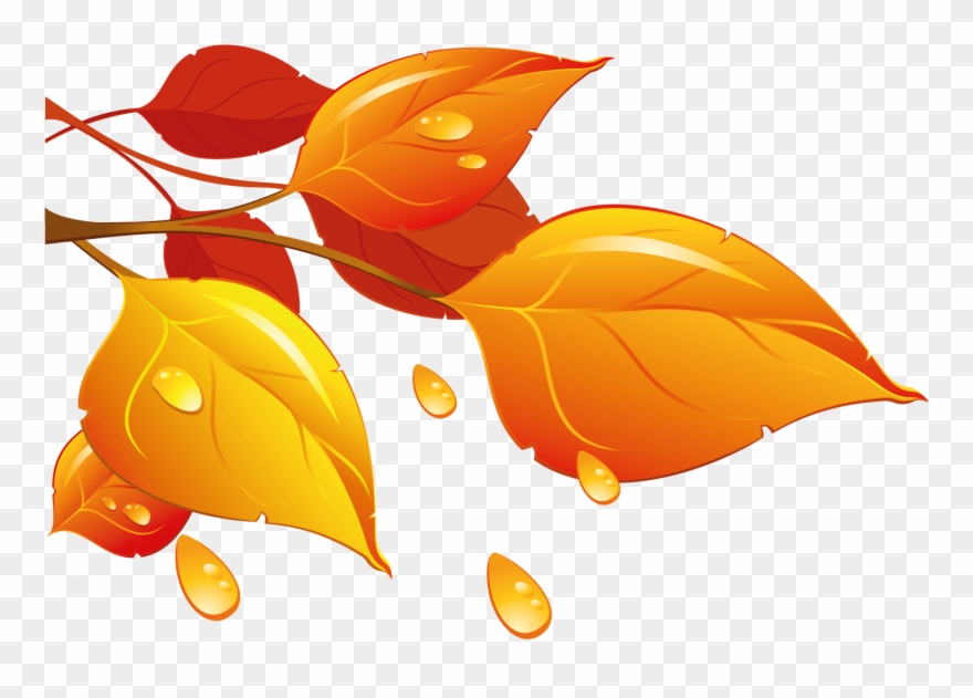 Leaf Clip Art Clear Background 15 Arts For Free On - Png Download