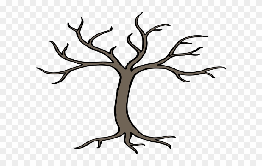 Images Of Tree Branches Clipart