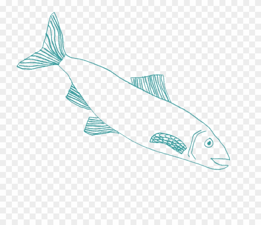 Earlier This Month, The Sportswear Brand Released The Clipart