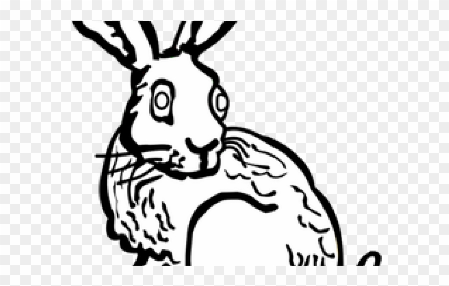 Rabbit Clipart Kelinci - Png Download