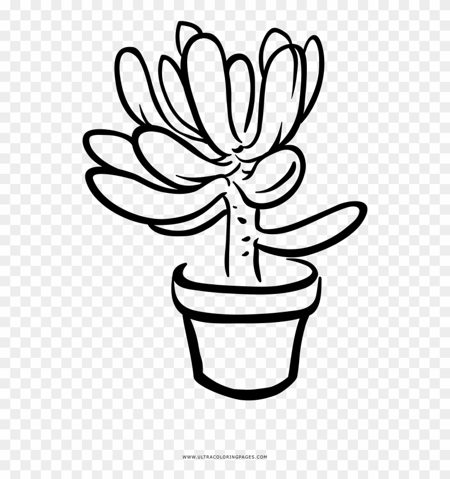 Succulent Coloring Page Clipart
