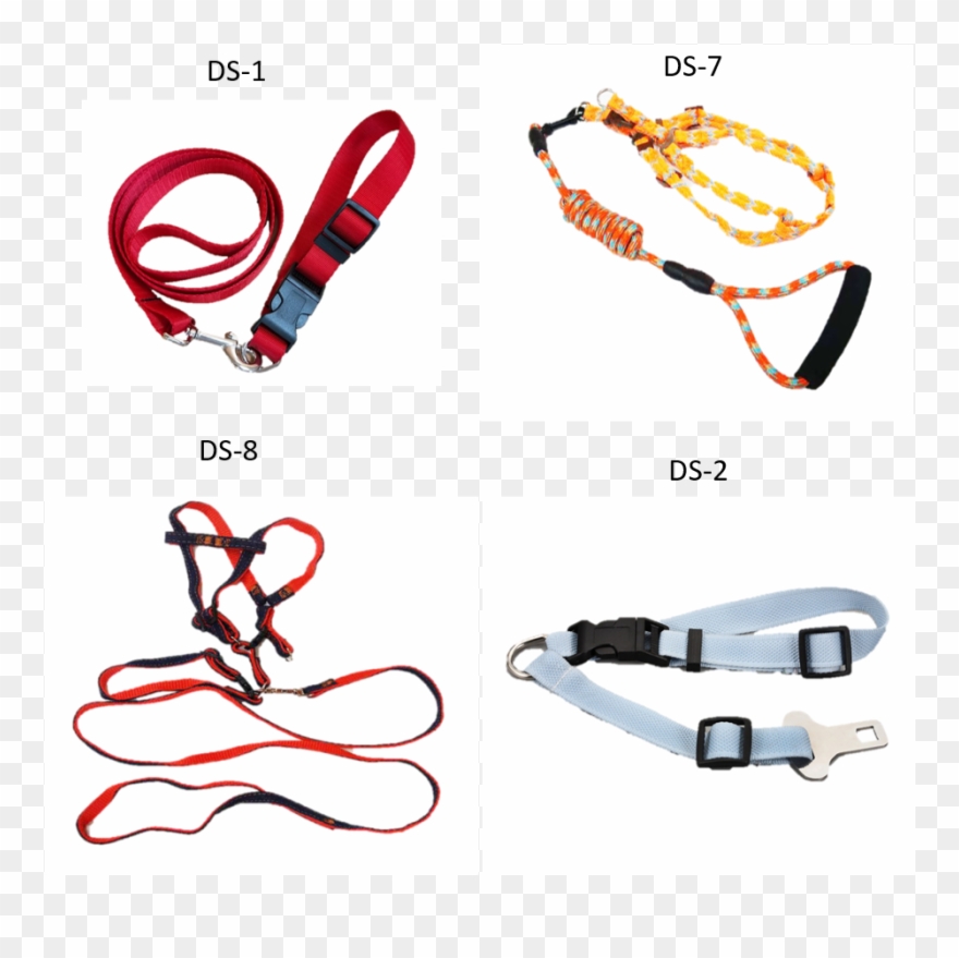 Pet Safety Belts Rubber Tie Down Leash Dog Collar Clipart