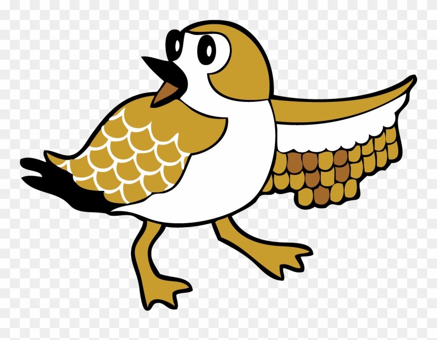 Plover Dojo Clipart