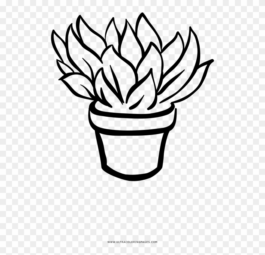 Collection Of Free Color Download On Ubisafe Clipart