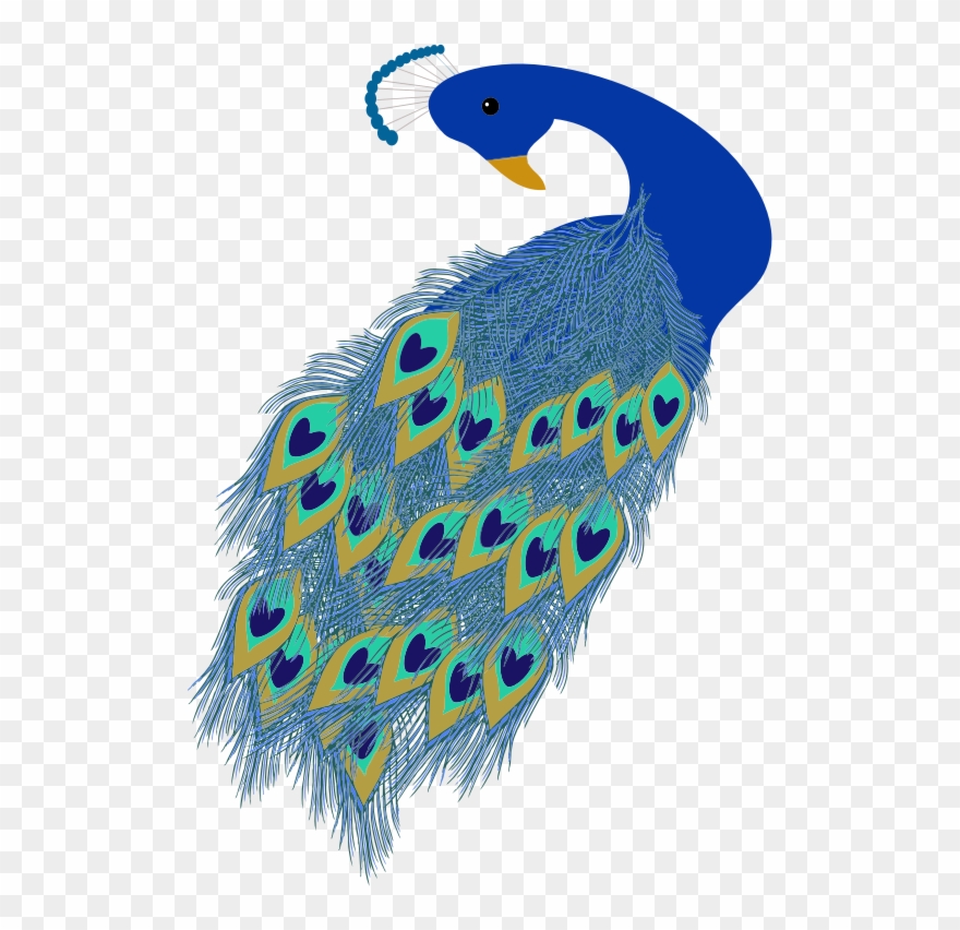 Medium Image Clipart