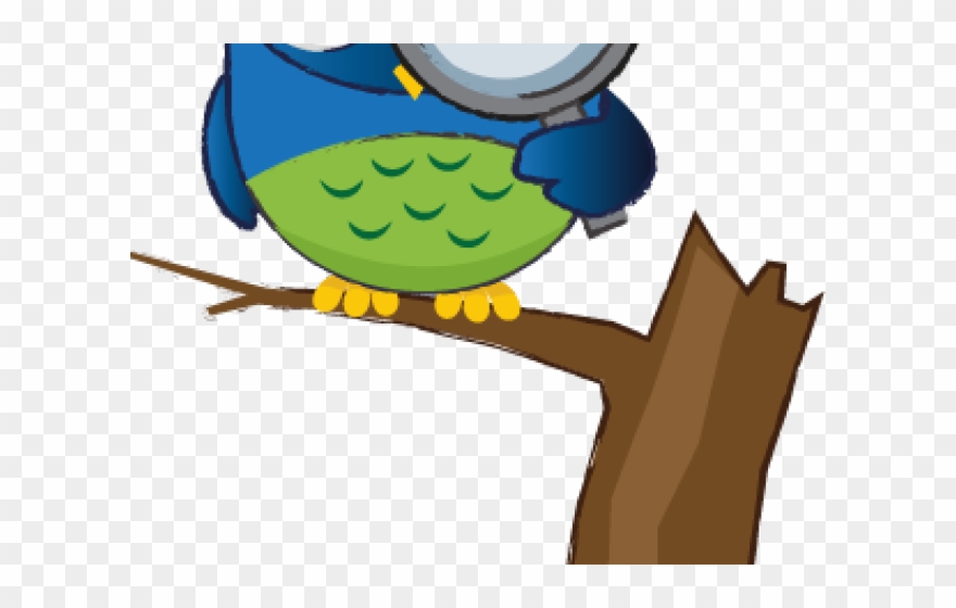 Owl Clipart Education - Png Download
