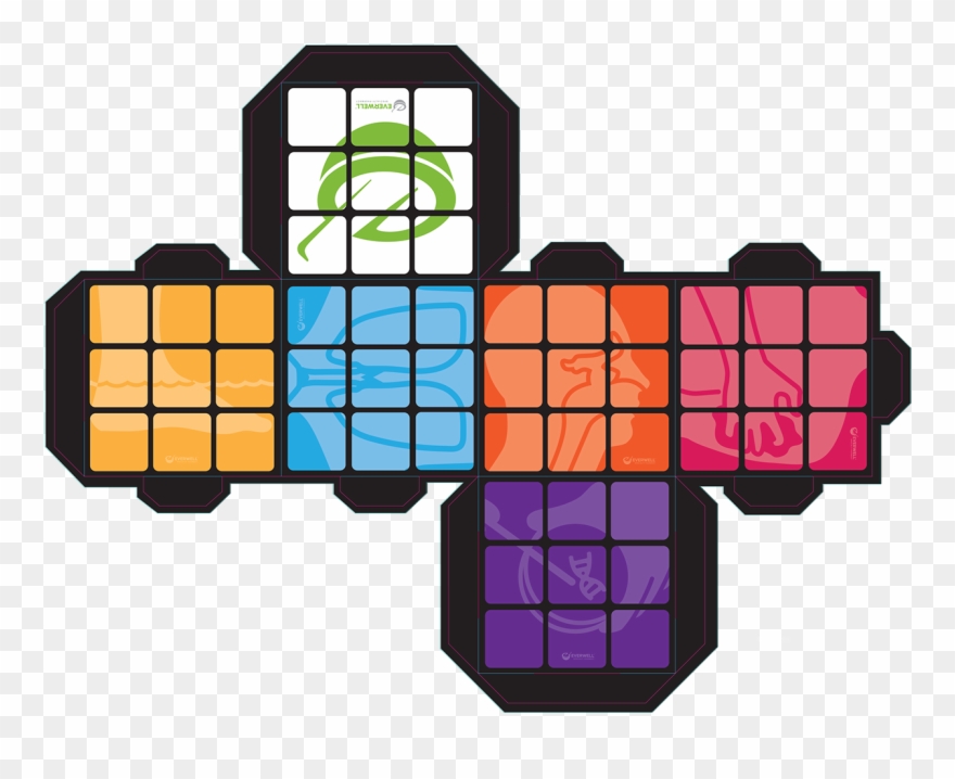 These Photos Of The Boards Were Taken On-site By The Clipart