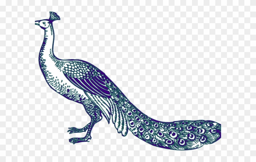 Peafowl Clipart Peacock Logo - Png Download