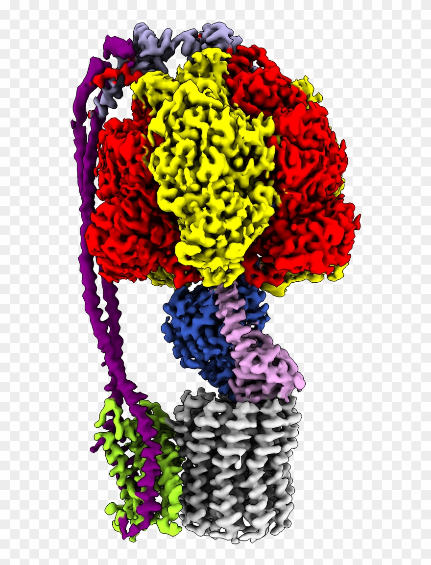 Have A Look At These Maps Pic Clipart