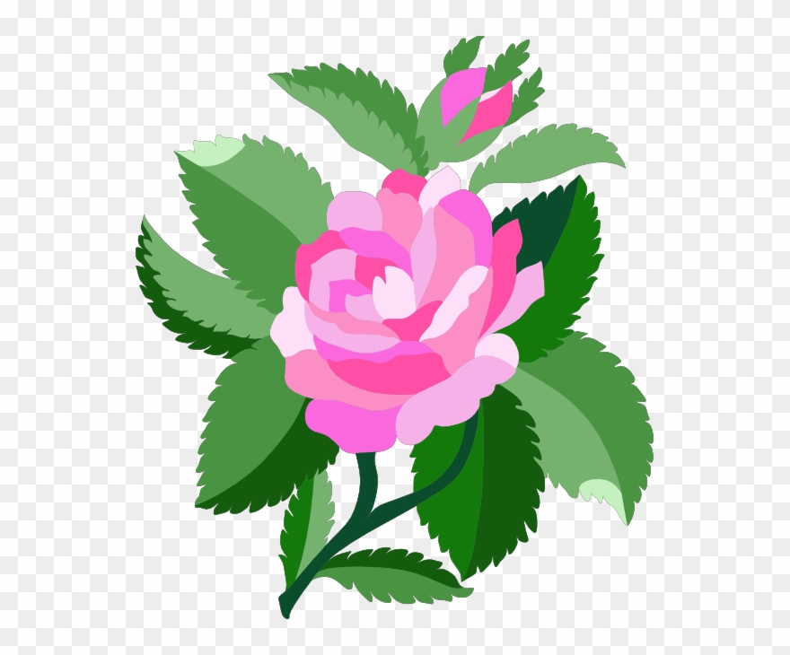 Baby Rose Clipart - Png Download
