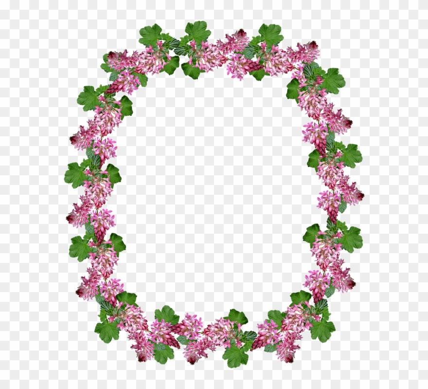 Frame, Border, Flowering Currant Clipart