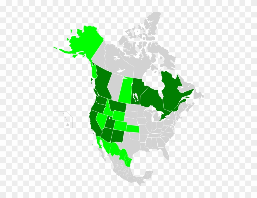 206 × 240 Pixels Clipart