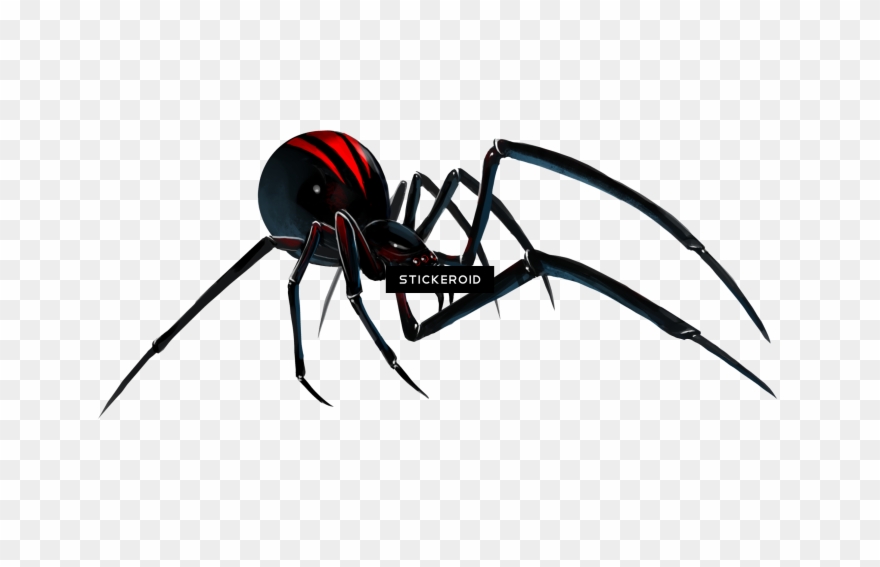 Black Widow Spider Clipart