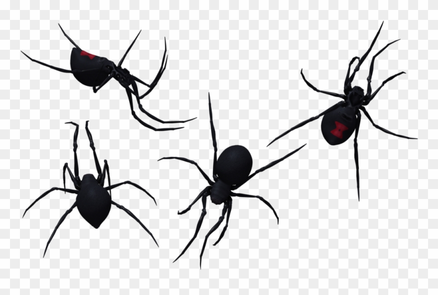 Halloween Spider Template Lifestyle Crafts Clipart