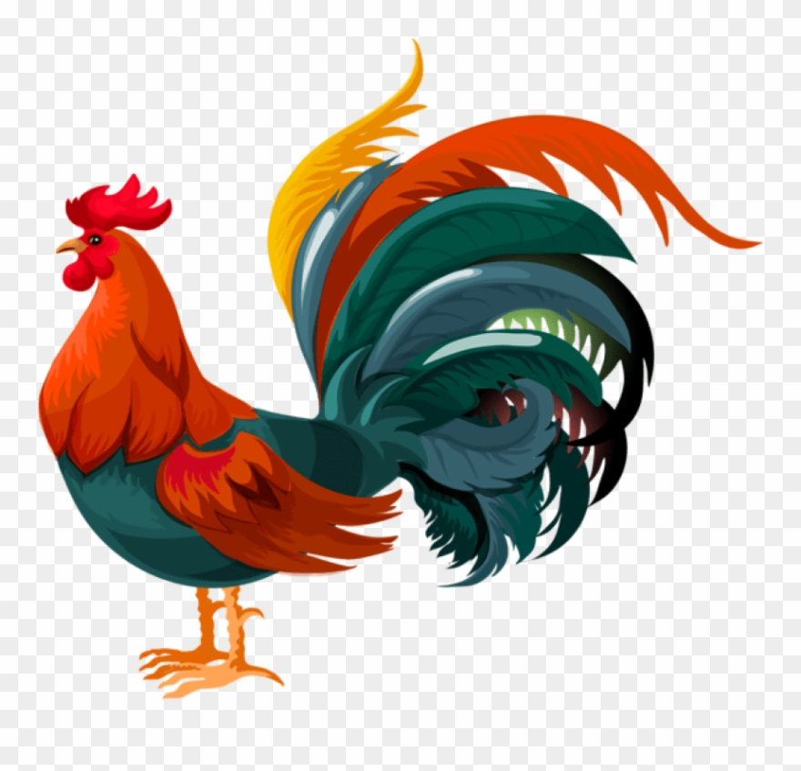 Free Png Download Rooster Transparent Png Images Background Clipart